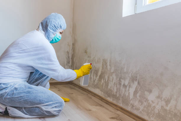 Licensed Mold Inspection service in Parkville, PA - WQB Mold Removal