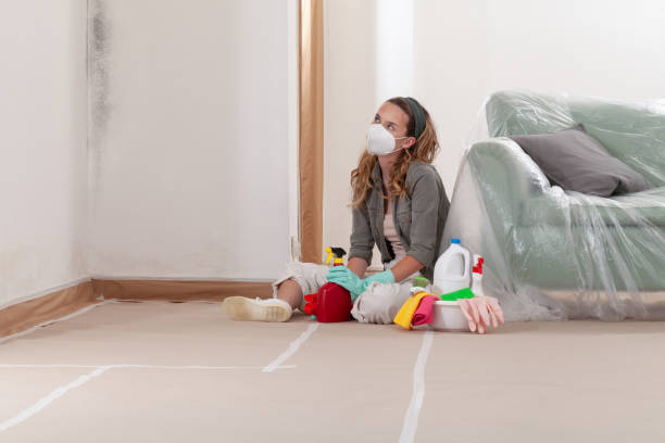 Trusted Mold Inspection service in Parkville, PA - WQB Mold Removal
